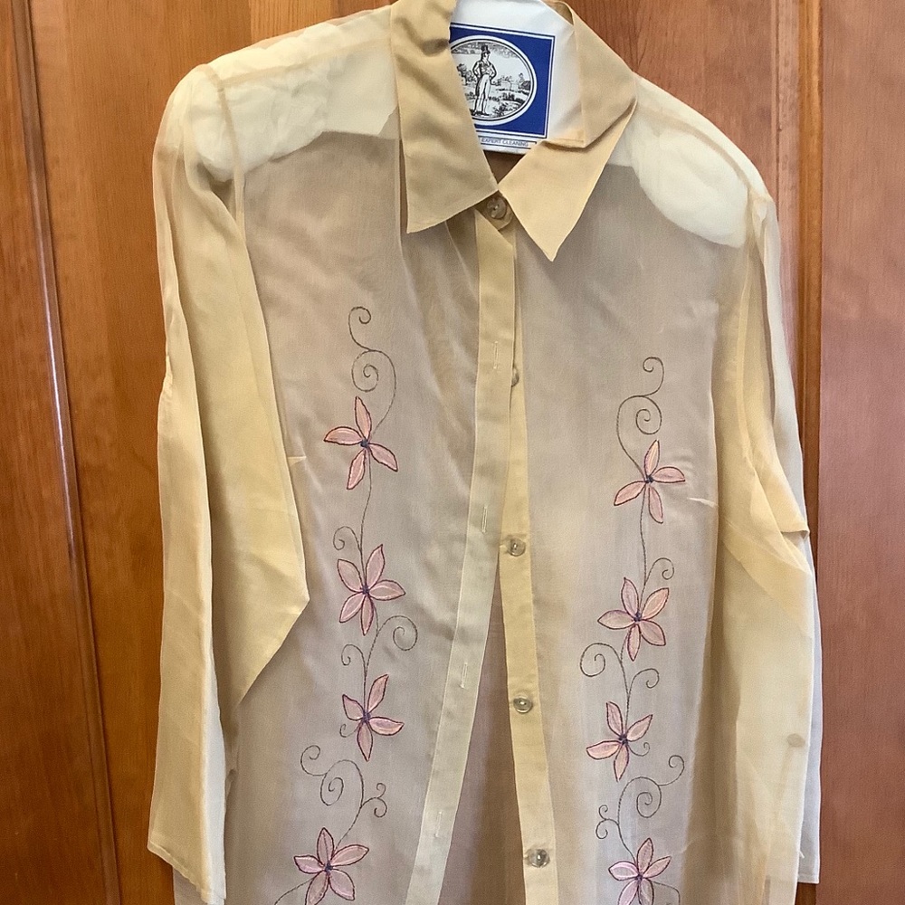 Off white sheer blouse